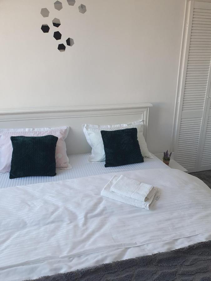 Apartament Tiron In Centru Orasului 古拉哈莫卢洛伊 外观 照片