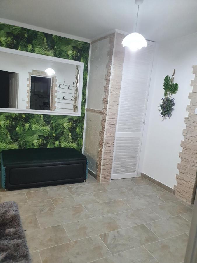 Apartament Tiron In Centru Orasului 古拉哈莫卢洛伊 外观 照片