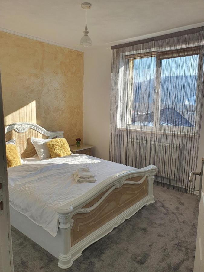 Apartament Tiron In Centru Orasului 古拉哈莫卢洛伊 外观 照片
