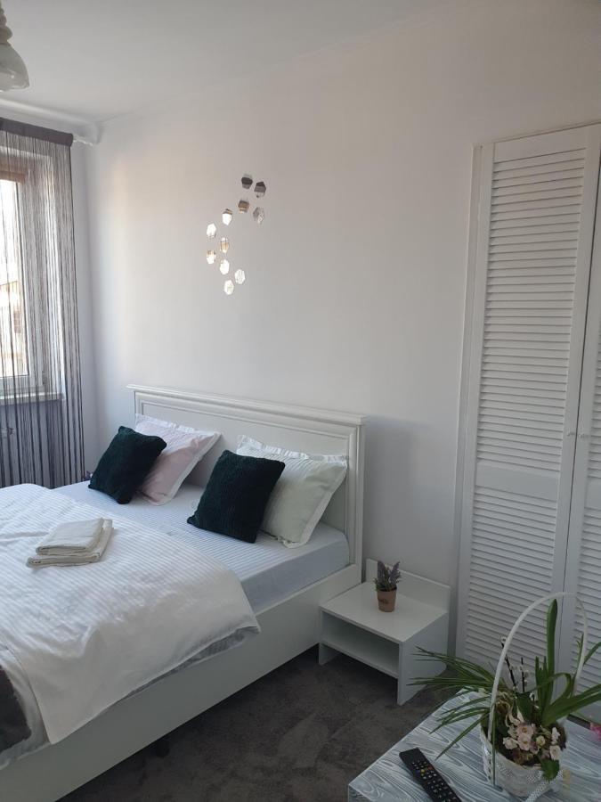 Apartament Tiron In Centru Orasului 古拉哈莫卢洛伊 外观 照片