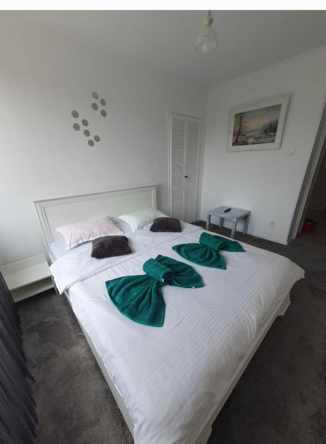 Apartament Tiron In Centru Orasului 古拉哈莫卢洛伊 外观 照片