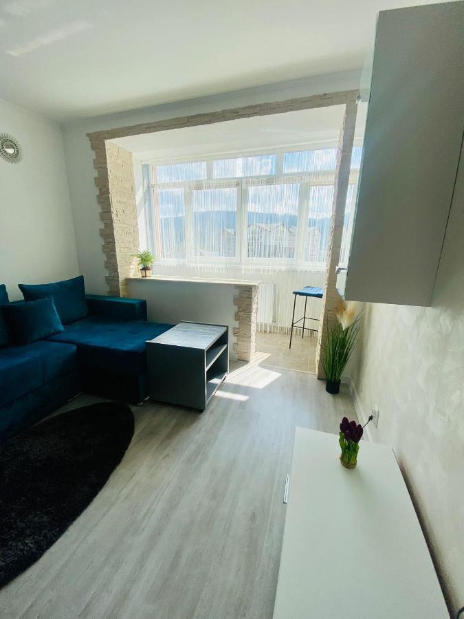 Apartament Tiron In Centru Orasului 古拉哈莫卢洛伊 外观 照片