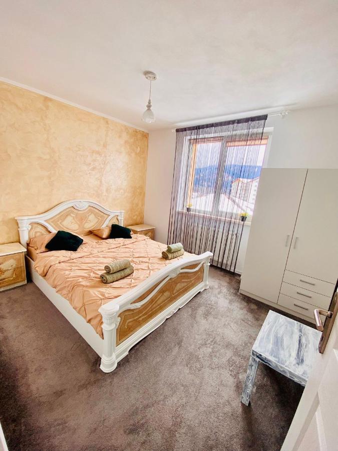 Apartament Tiron In Centru Orasului 古拉哈莫卢洛伊 外观 照片